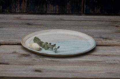 Sand beige and blue plate