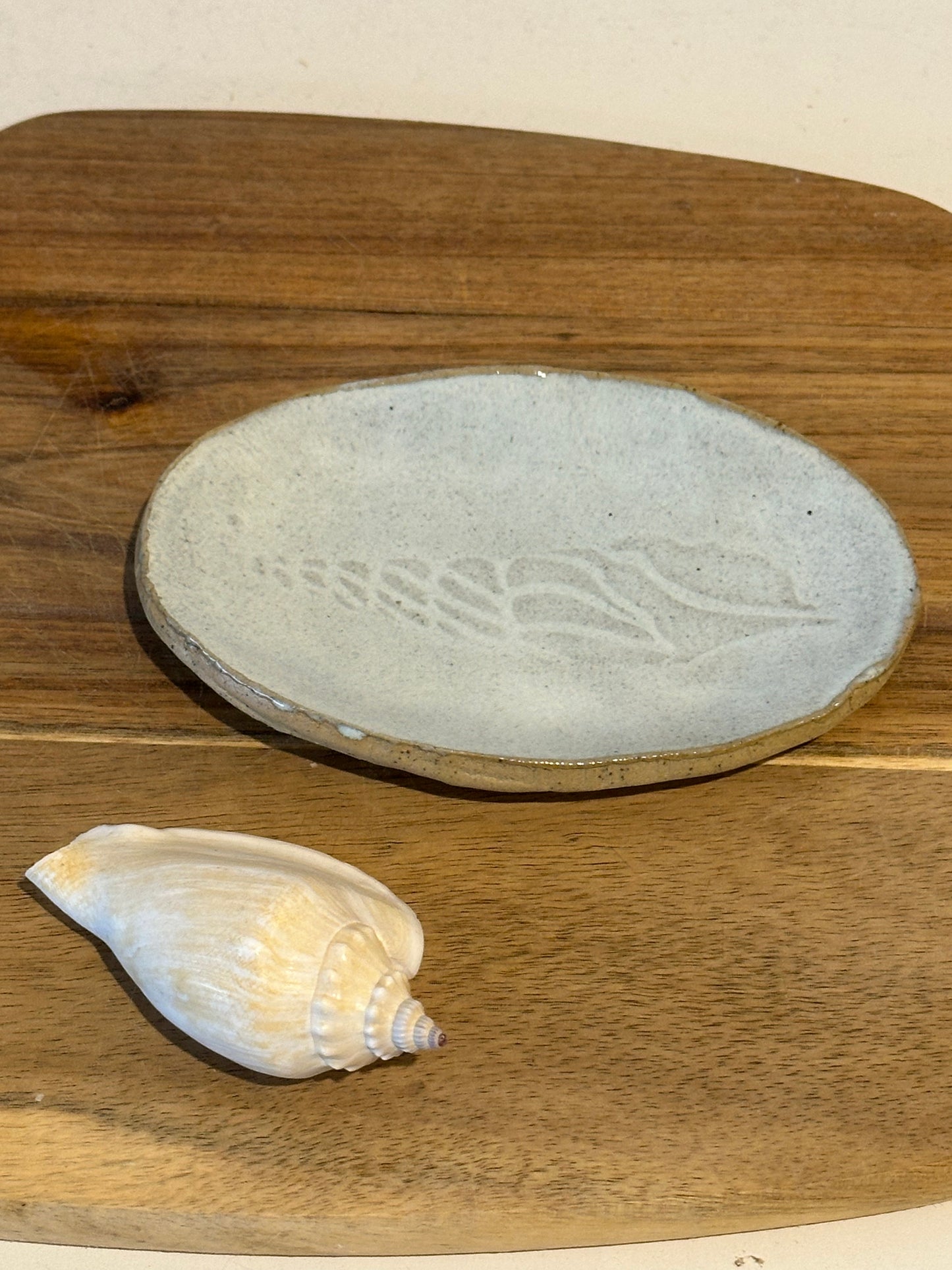 Beach imprint spire shell trinket plate