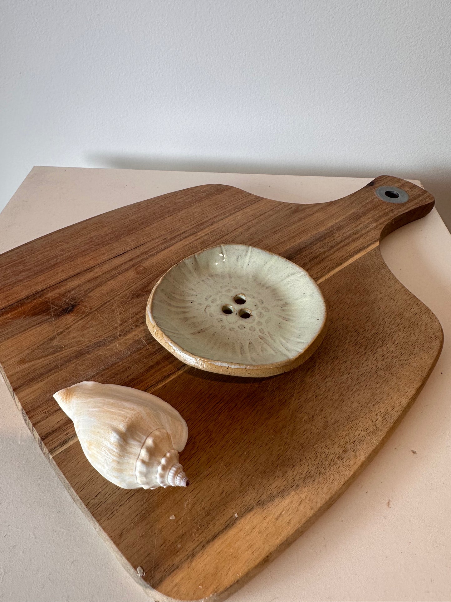 Shower steamer/soap holder